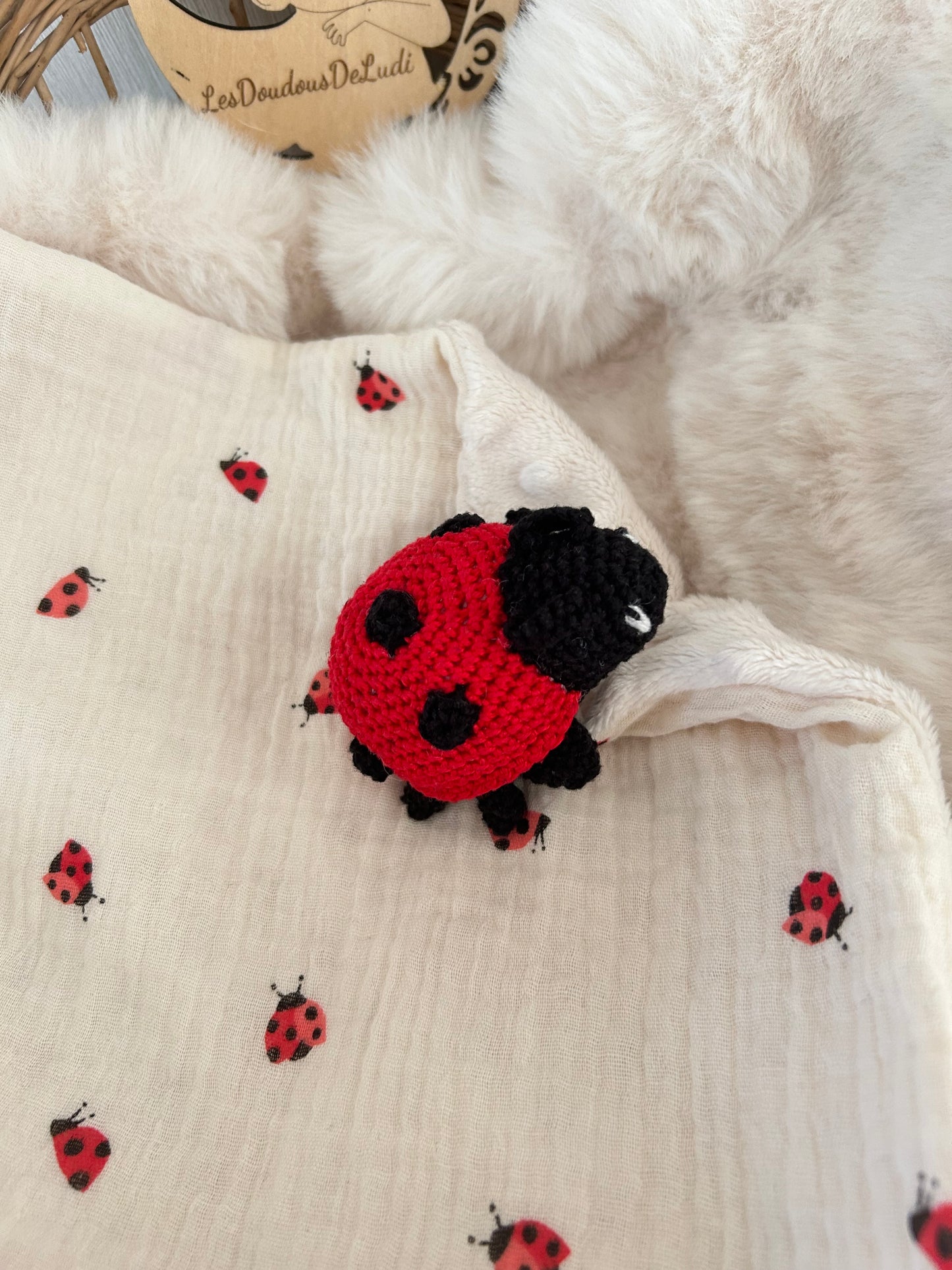 Doudou Coccinelle Personnalisable