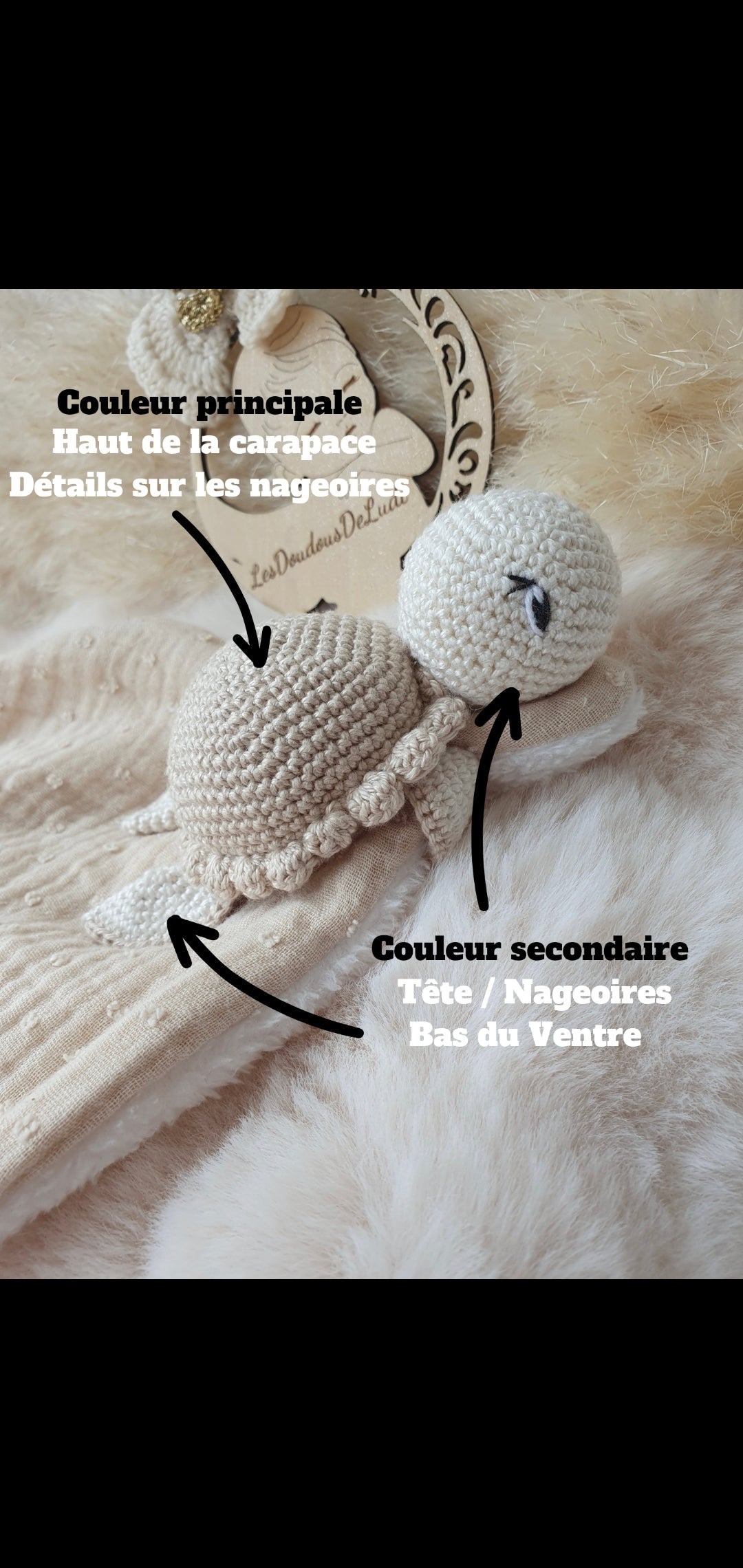 Duo Lily La Tortue Personnalisable