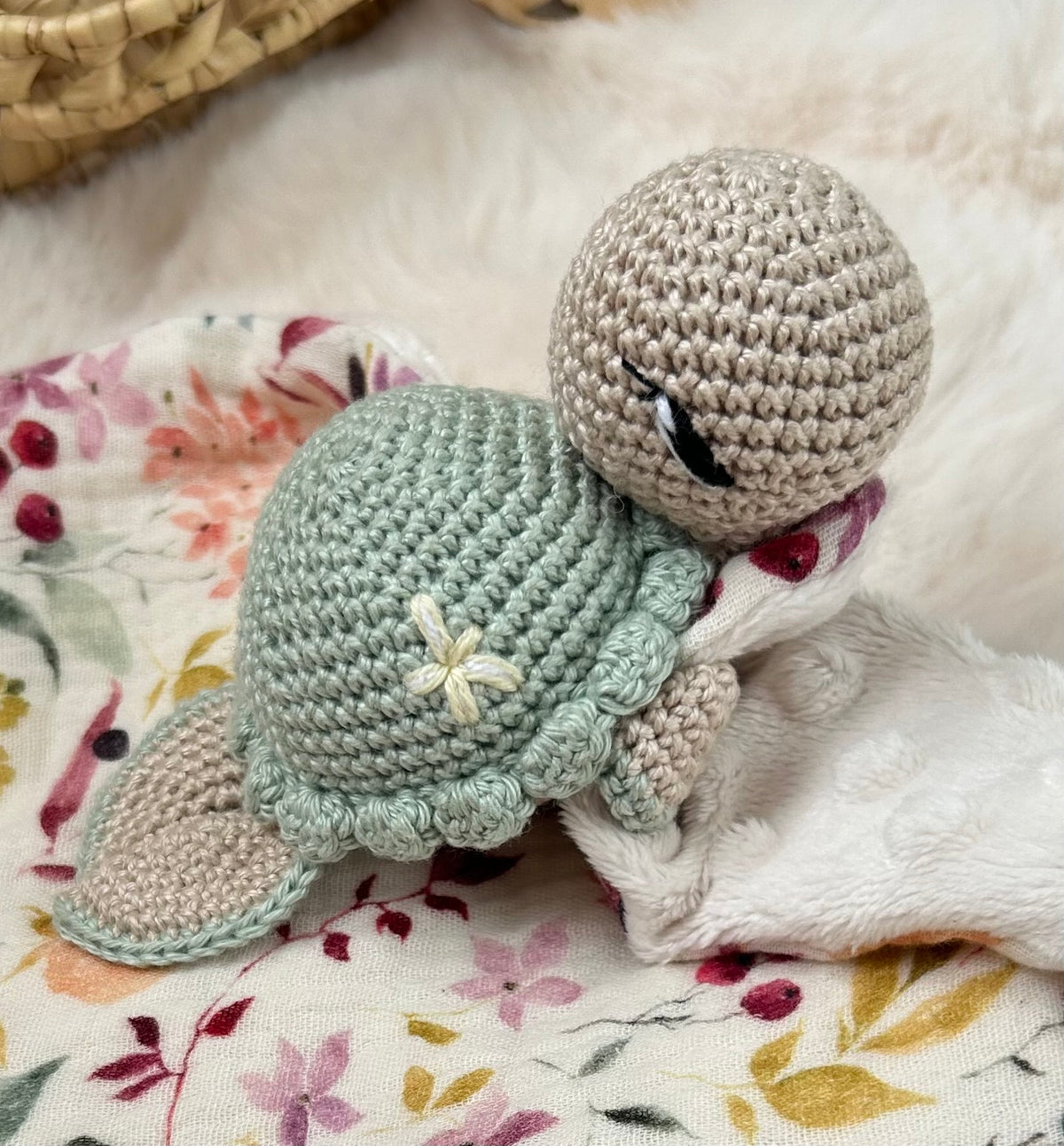 Lily La Tortue Vert d’eau-Sable